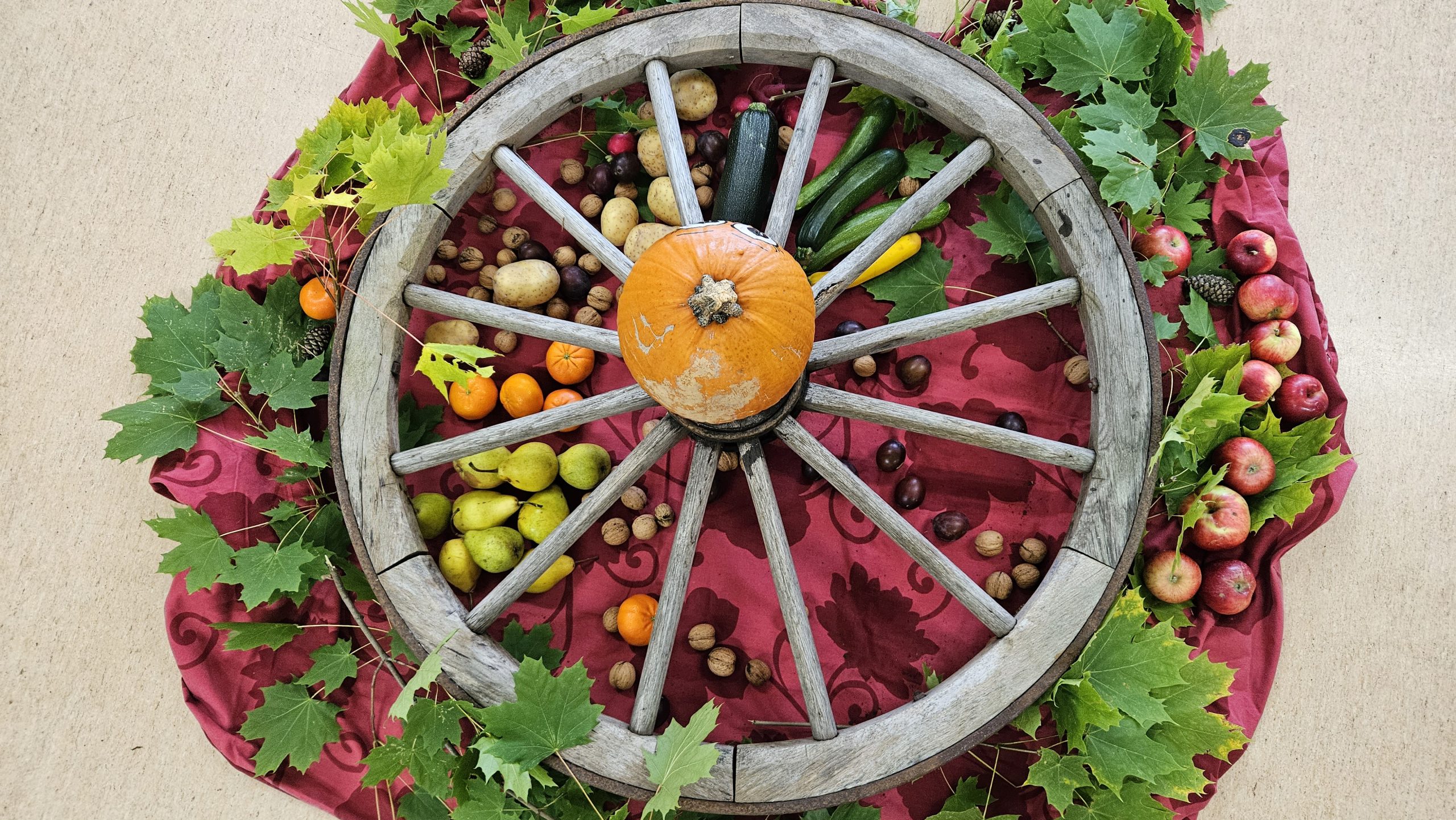 Gemeinsam danken – der Erntedankmorgenkreis als Auftakt unseres Herbstprojekts